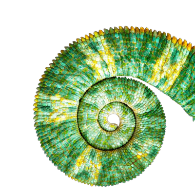 spiral 2